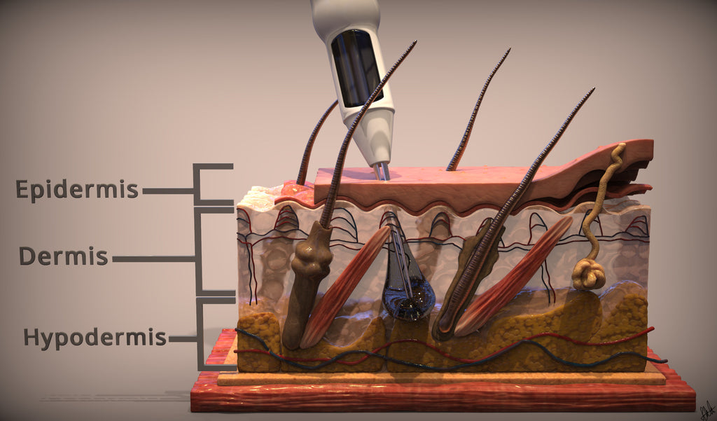 What Do We Know About Skin Elasticity & Collagen Production and the Effects of Tattoos?